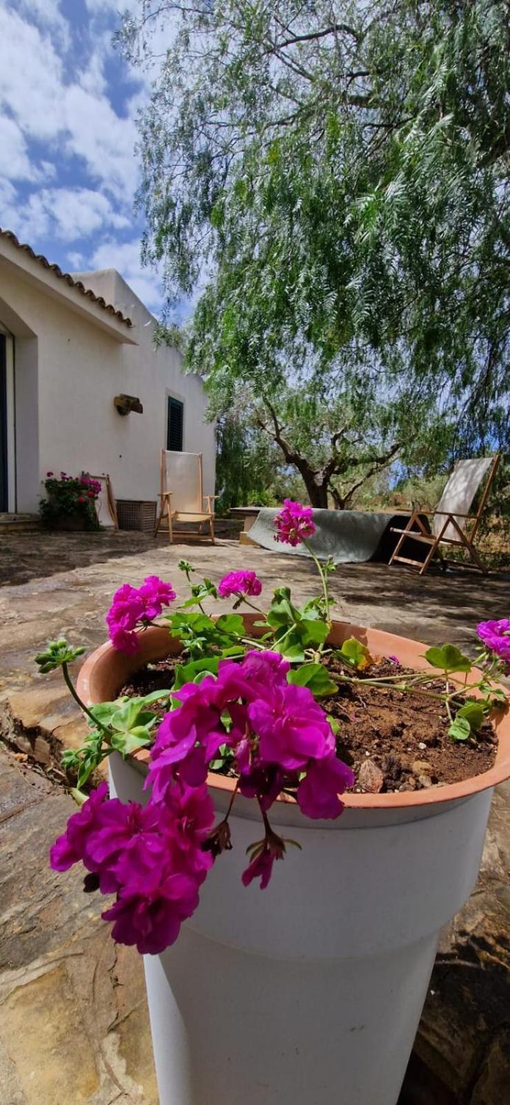 Casa Ibiscus Βίλα Μαρσάλα Εξωτερικό φωτογραφία